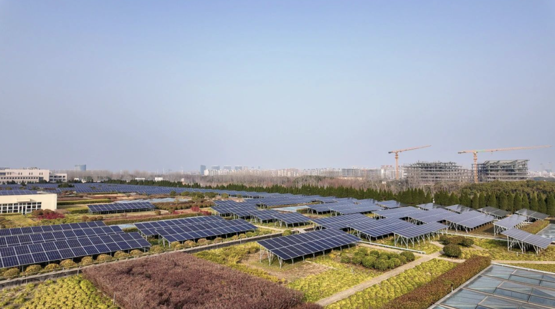 打造“地铁+光伏”绿色品牌：上海地铁新能源公司持续助推光伏电站建设(图2)
