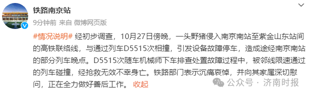 Nanjing South Railway Station Wild Boar Invasion Line Mechanic Died While Handling Official Report (Figure 1)